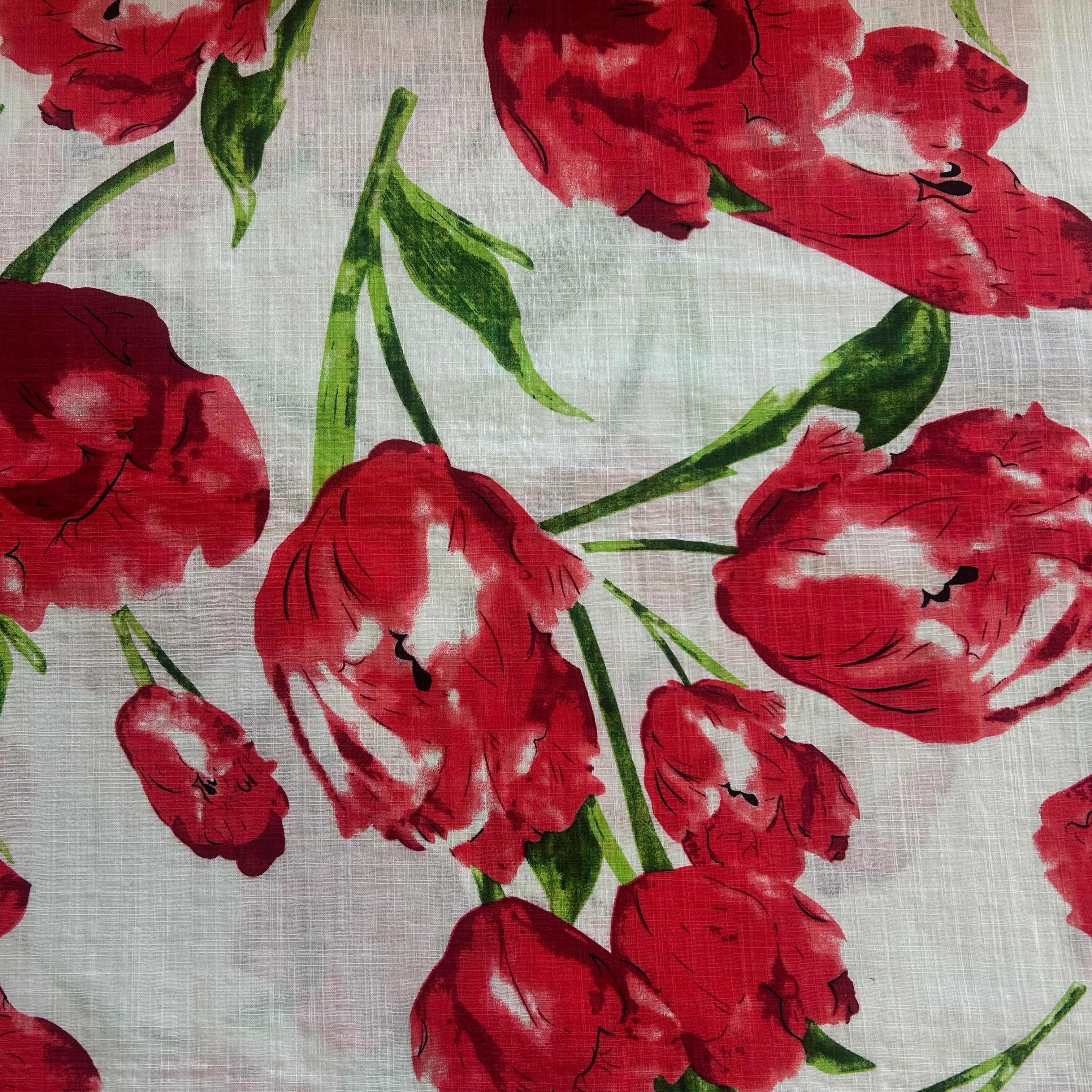 Red Tulips on White