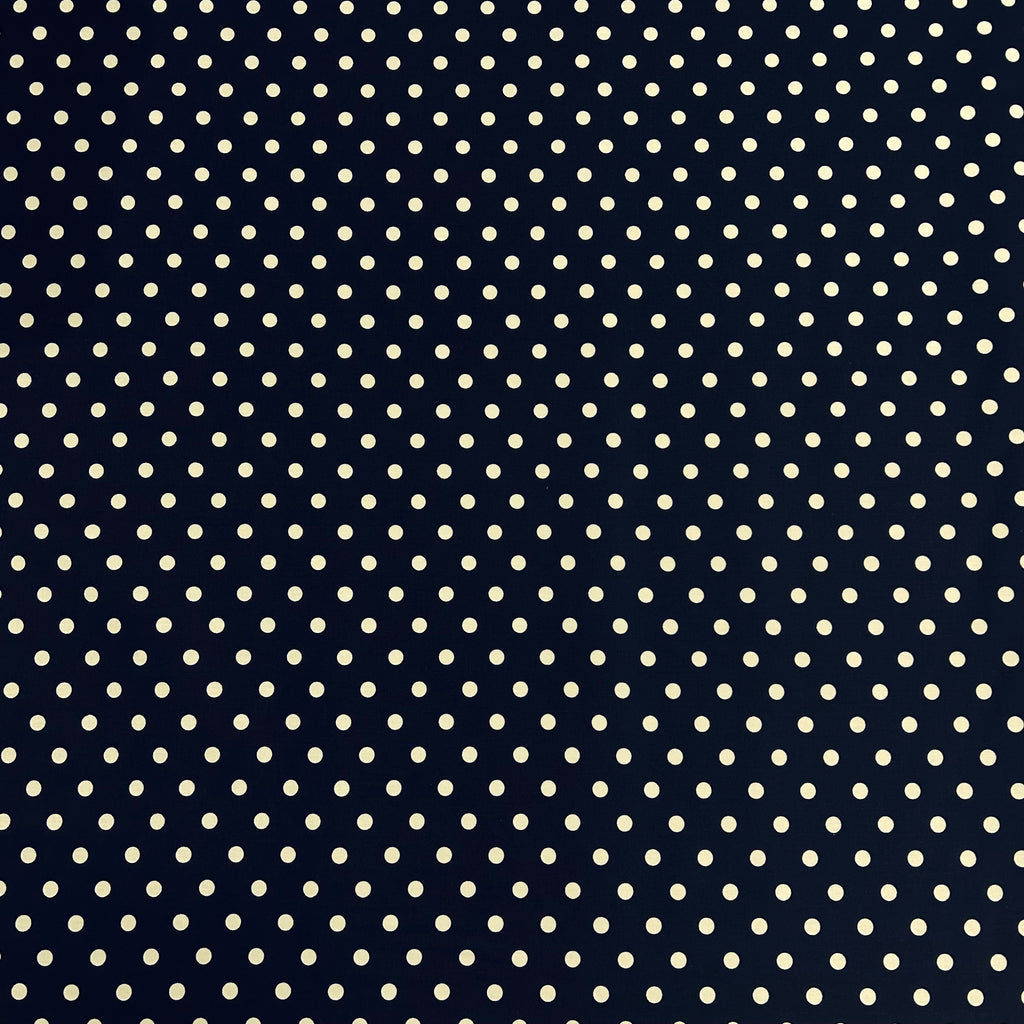 Midnight Polka