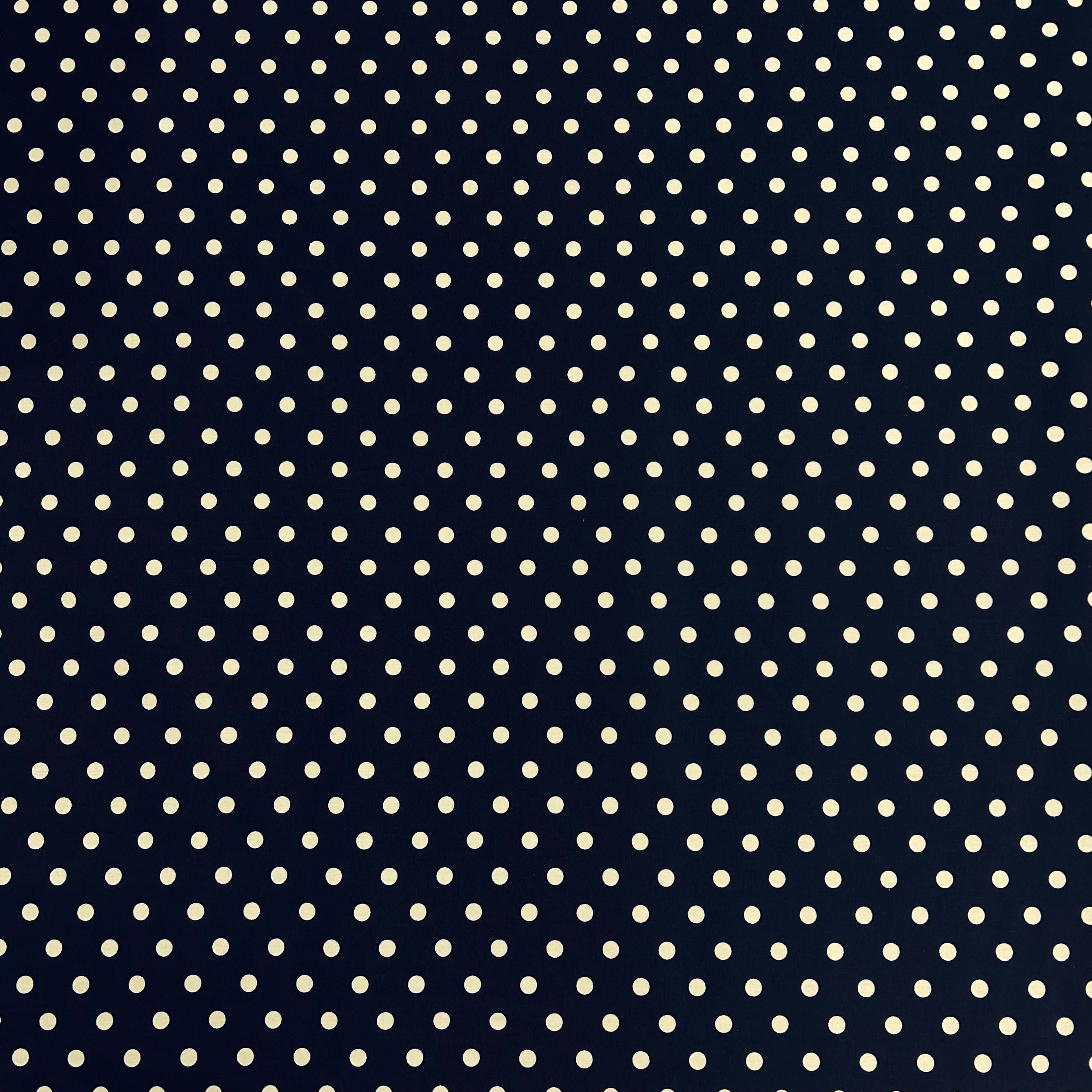 Midnight Polka