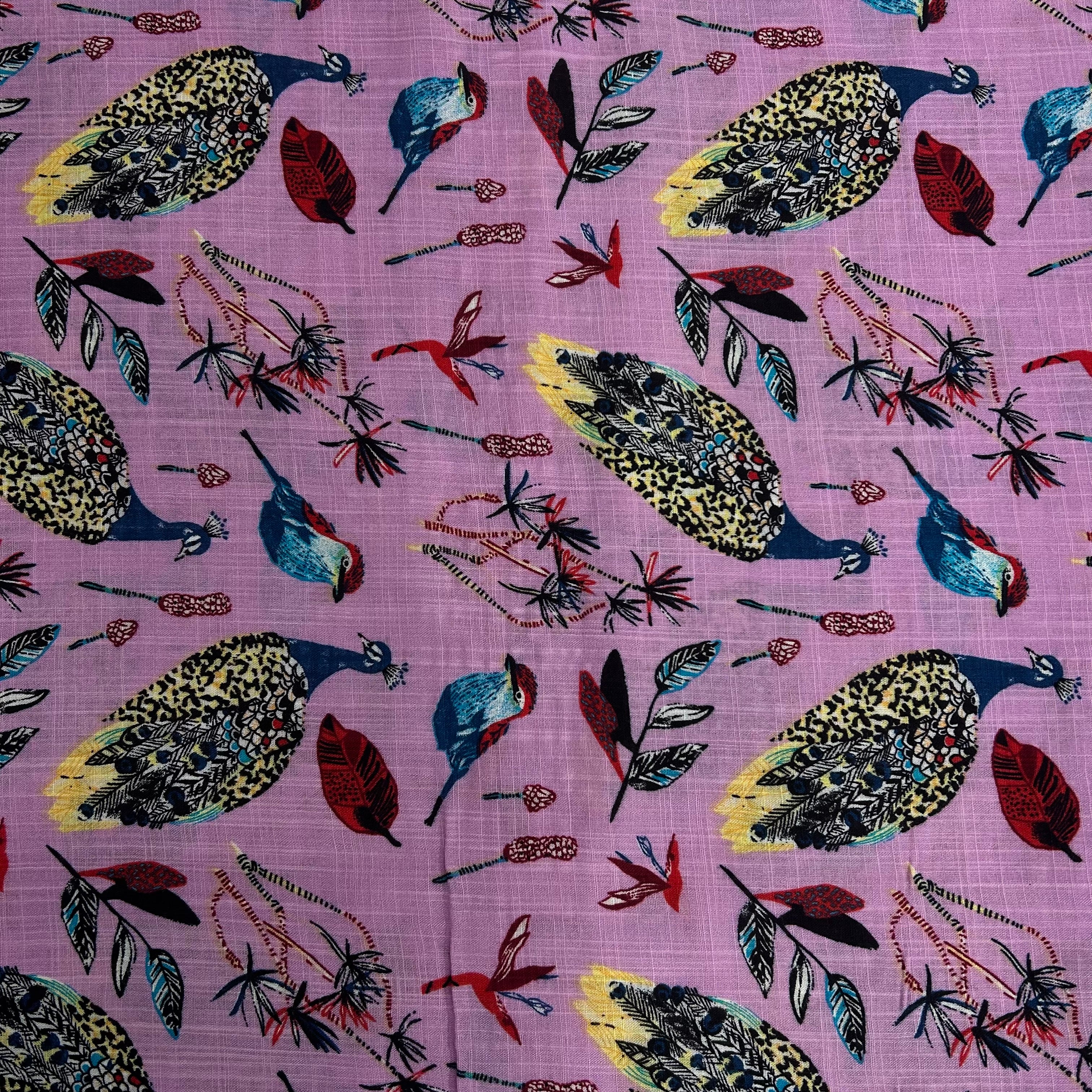 Blush Tropical Birds