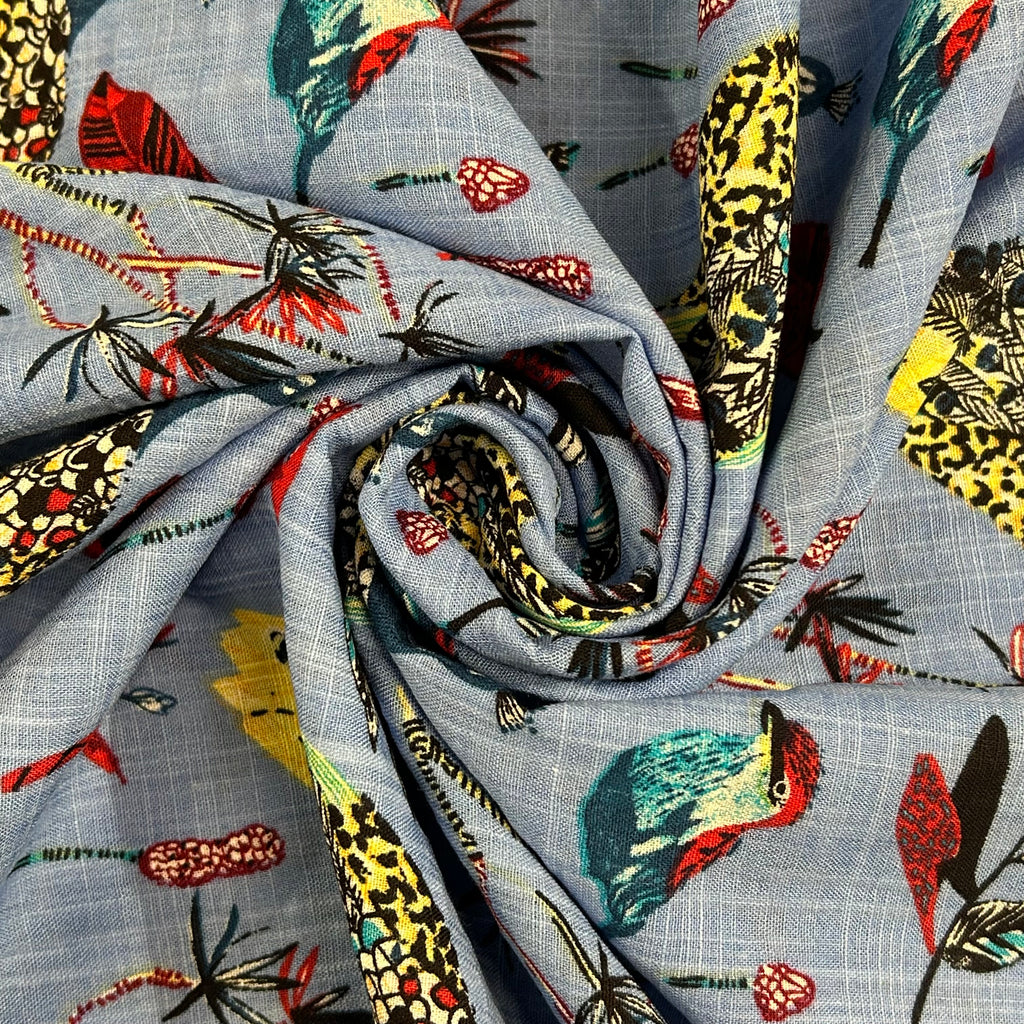 Sky Tropical Birds