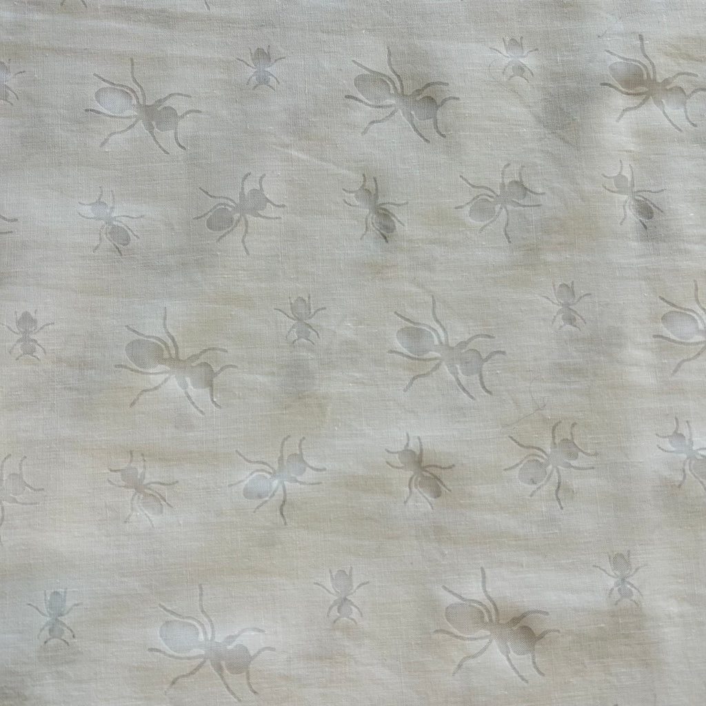 White Spider Cotton