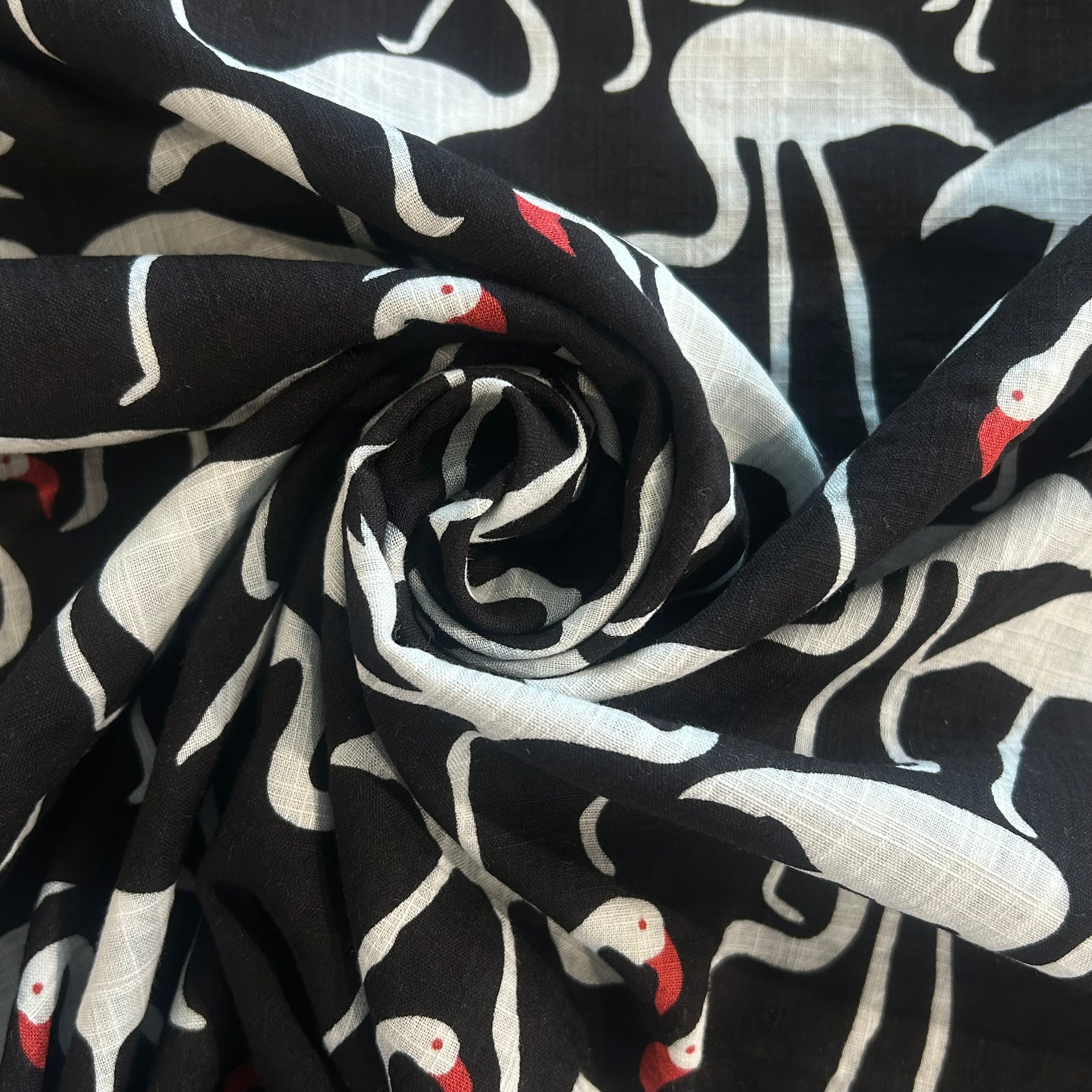 Black Cotton Birds