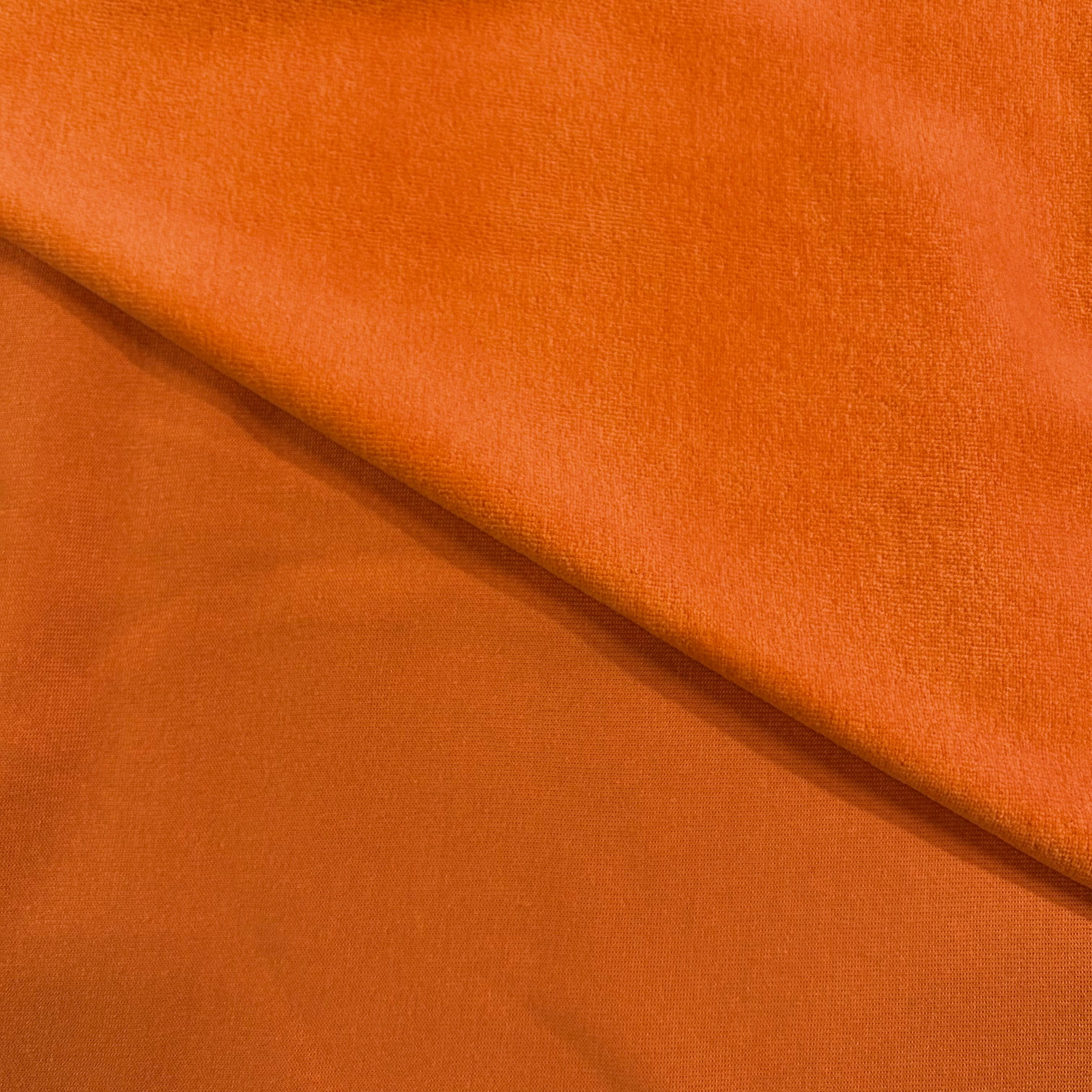 Tangerine Nicky