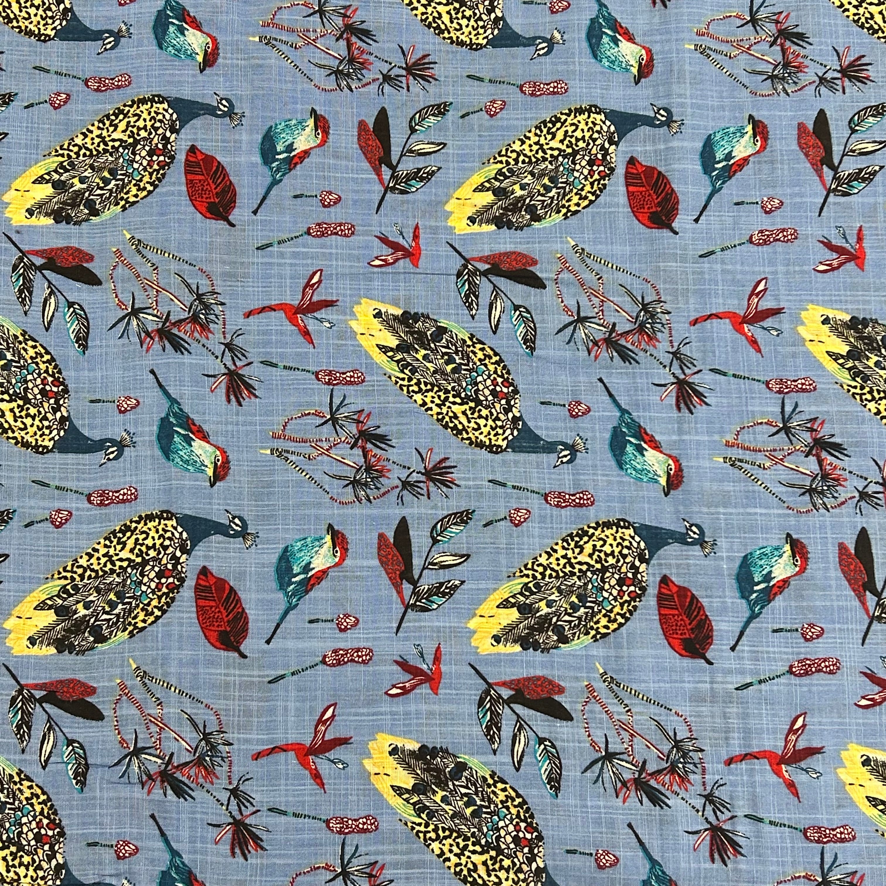Sky Tropical Birds