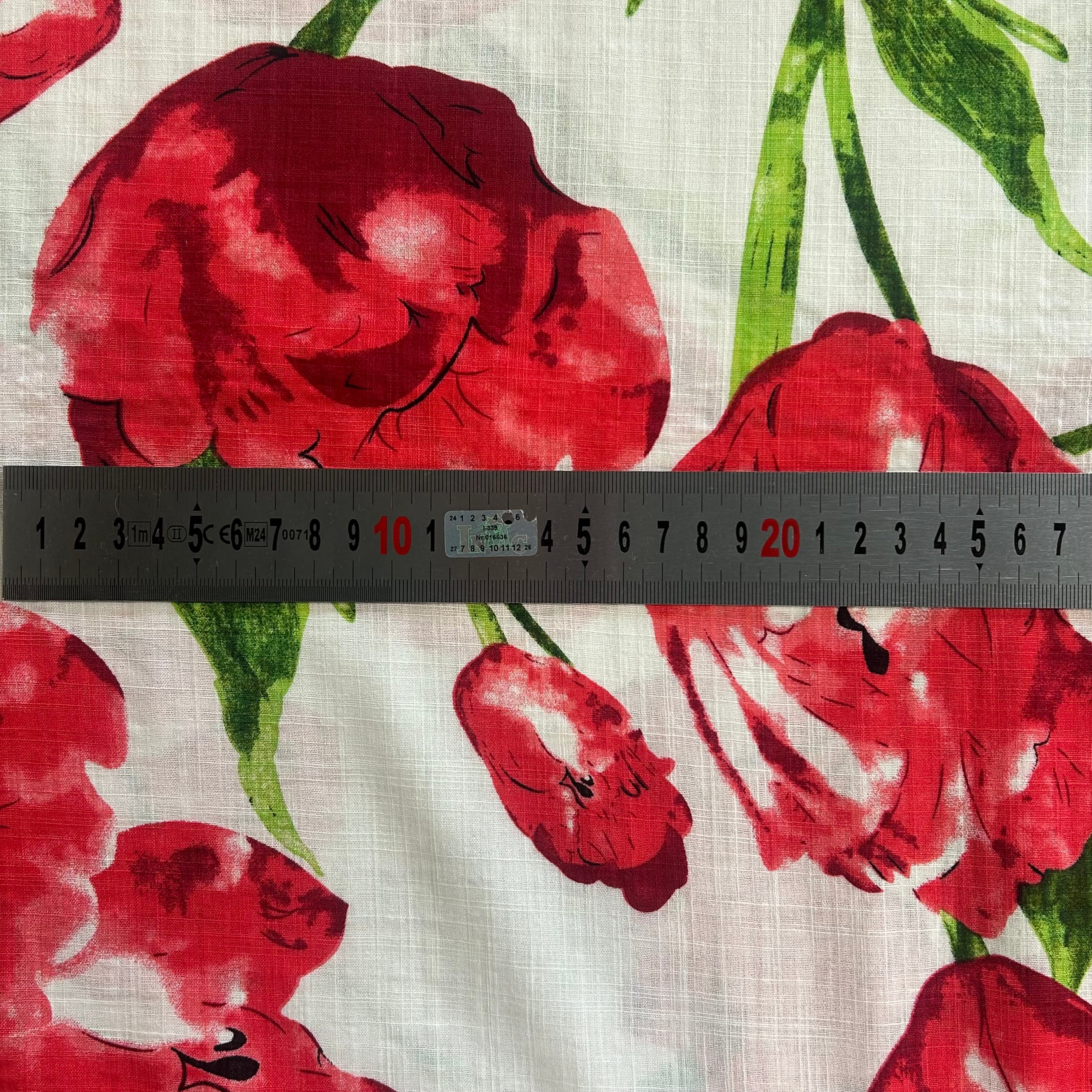 Red Tulips on White