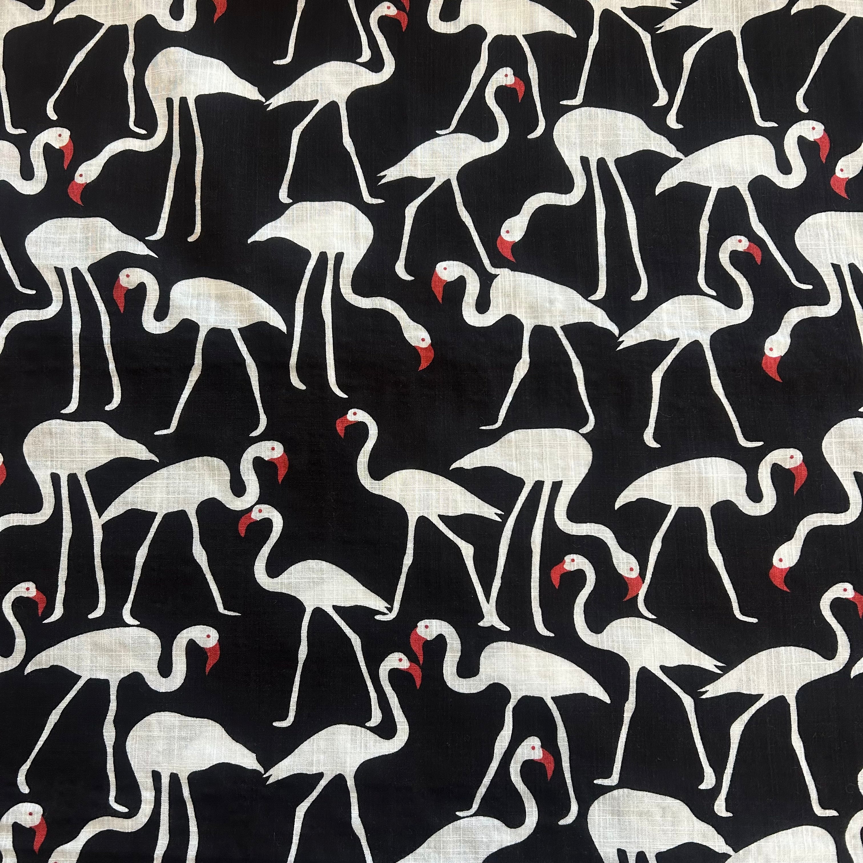 Black Cotton Birds