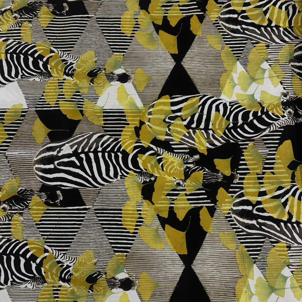 Safari Zebra Print